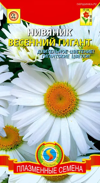 Нивяник Весенний Гигант 0,2 г, Плазменные семена