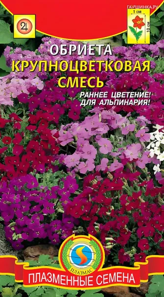 Обриета Крупноцветковая смесь 0,1 г, Плазменные семена