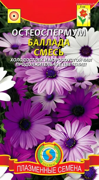 Остеоспермум Баллада смесь 4 шт, Плазменные семена