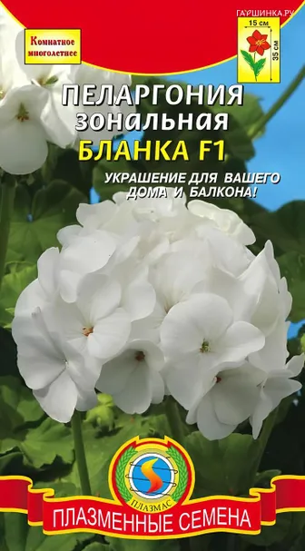 Пеларгония Бланка F1 зональная 3 шт, Плазменные семена