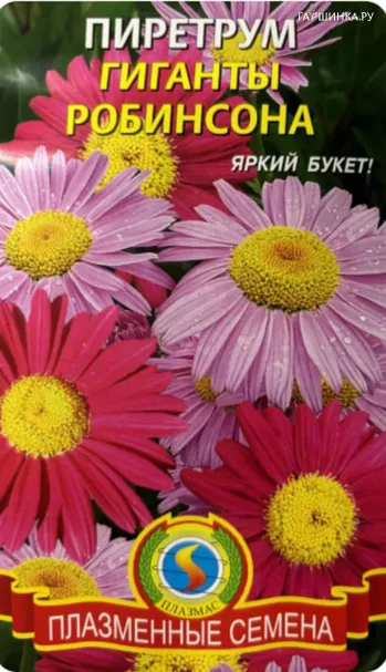 Пиретрум Гиганты Робинсона  0,2 г, Плазменные семена