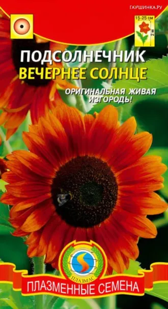 Подсолнечник Вечернее солнце 10 шт, Плазменные семена