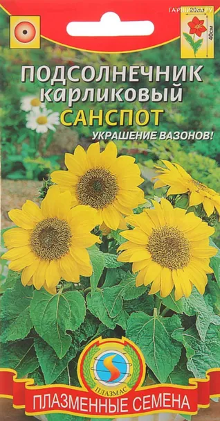 Подсолнечник Санспот карликовый  0,5 г, Плазменные семена