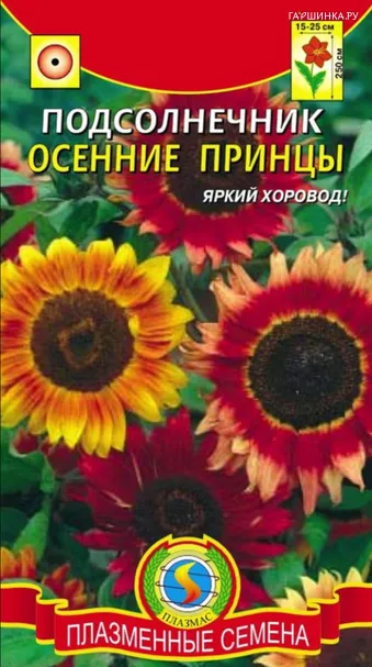 Подсолнечник Осенние принцы 12 шт, Плазменные семена