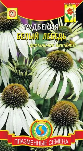Рудбекия Белый лебедь 0,05 г, Плазменные семена