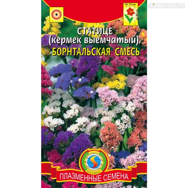 Статице (кермек выемчатый) Борнтальская смесь 0,1 г, Плазменные семена