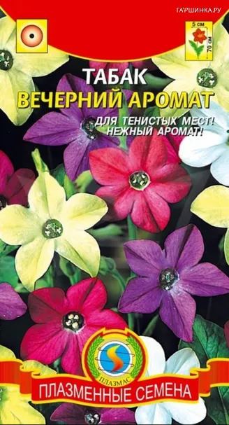 Табак Вечерний аромат 0,1 г Плазменные семена