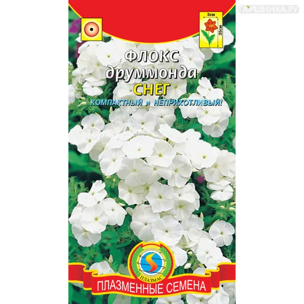 Флокс Друммонда Снег 0,1 г, Плазменные семена