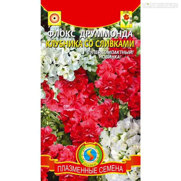Флокс Клубника со сливками махровый 6 шт, Плазменные семена