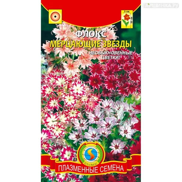 Флокс Мерцающие звёзды  0,1 г, Плазменные семена