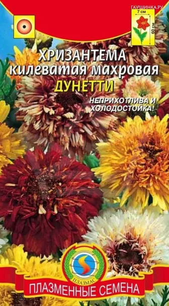 Хризантема килеватая махровая Дунетти  0,2 гр Плазменные семена