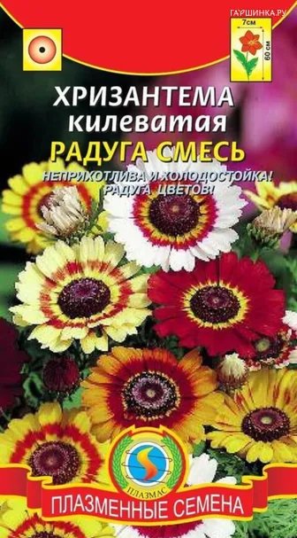 Хризантема Радуга смесь килеватая 0,5 г, Плазменные семена