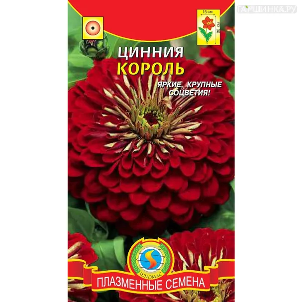 Цинния Король 0,3 г, Плазменные семена