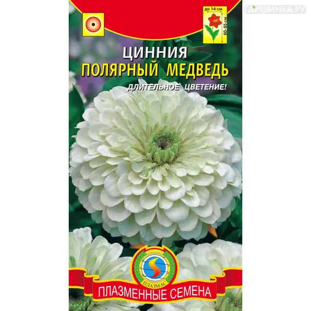 Цинния Полярный медведь 0,3 г, Плазменные семена