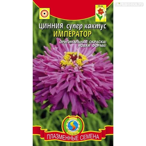 Цинния Император супер-кактус 0,25 г, Плазменные семена