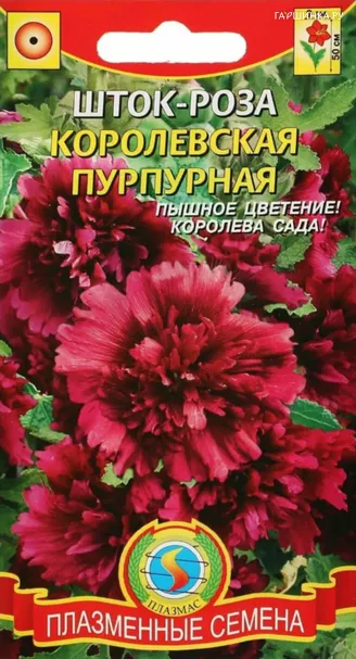 Шток-роза Королевская Пурпурная 0,1 г, Плазменные семена