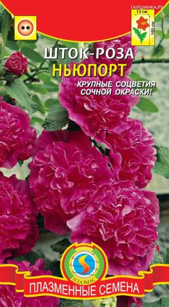 Шток-роза Ньюпорт 0,1 г, Плазменные семена