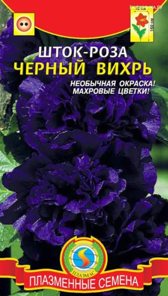 Шток-роза Черный вихрь 0,1 гр Плазменные семена