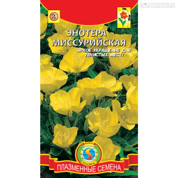 Энотера Миссурийская  0,14 г, Плазменные семена