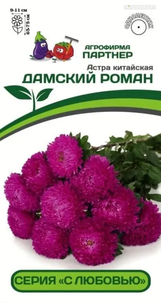Астра китайская Дамский Роман 5 шт. Партнер