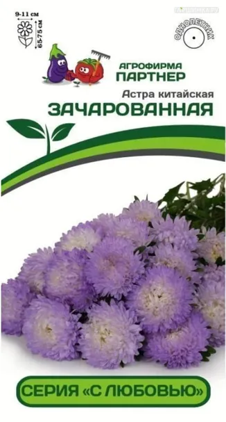 Астра китайская Зачарованная 5 шт. Партнер