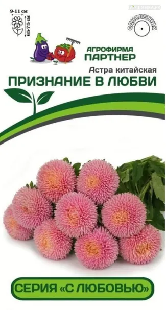 Астра китайская Признание в Любви 5 шт. Партнер
