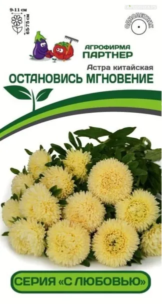 Астра китайская Остановись Мгновение 5 шт. Партнер
