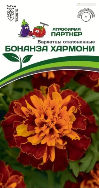 Бархатцы отклоненные Бонанза Хармони 10 шт. Партнер