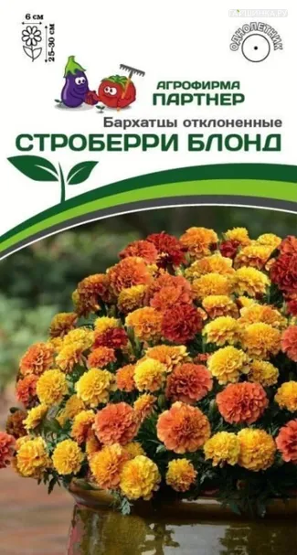 Бархатцы отклоненные Строберри Блонд (снова в продаже) 10 шт. Партнер