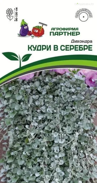 Дихондра серебристая Кудри в серебре 4 шт. Партнер