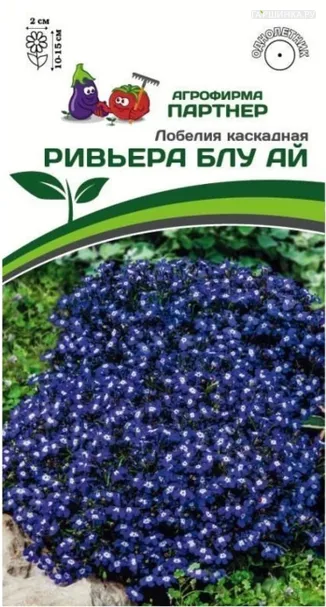 Лобелия каскадная Ривьера Блу Ай (снова в продаже) 10 шт. Партнер