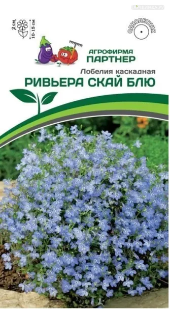 Лобелия каскадная Ривьера Скай Блю 10 шт. Партнер