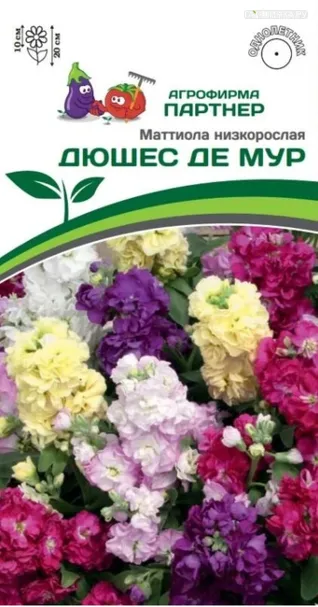 Маттиола низкорослая Дюшес де Мур 10 шт. Партнер