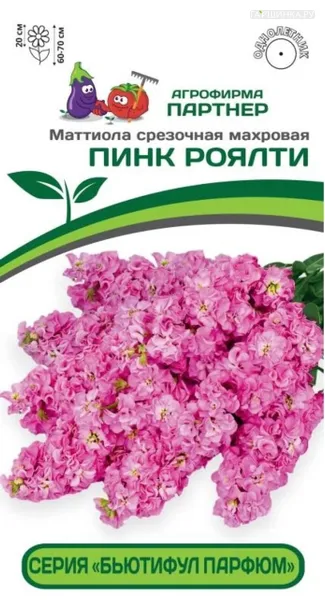 Маттиола срезочная махровая "Бьютифул Парфюм" Пинк Роялти 10 шт. Партнер