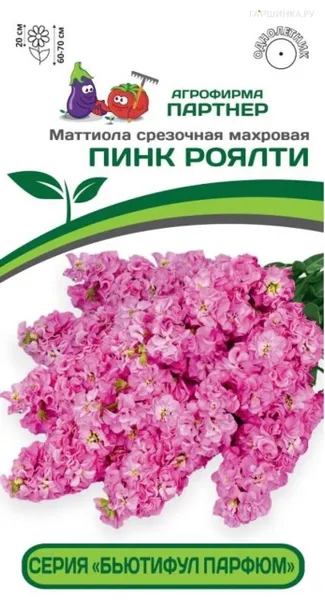 Маттиола срезочная махровая "Бьютифул Парфюм" Пинк Роялти 10 шт. Партнер