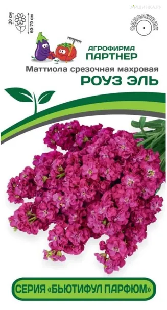 Маттиола срезочная махровая "Бьютифул Парфюм" Роуз Эль (снова в продаже) 10 шт. Партнер