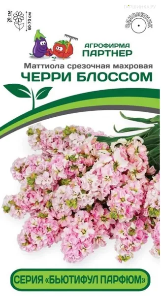 Маттиола срезочная махровая "Бьютифул Парфюм" Черри Блоссом 10 шт. Партнер