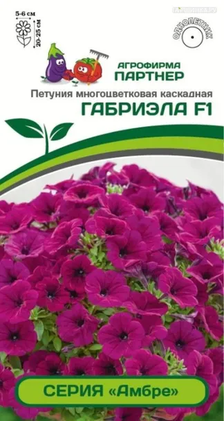 Петуния "Амбре" Габриэла F1 каскадная фиолетовая 5 шт. Партнер