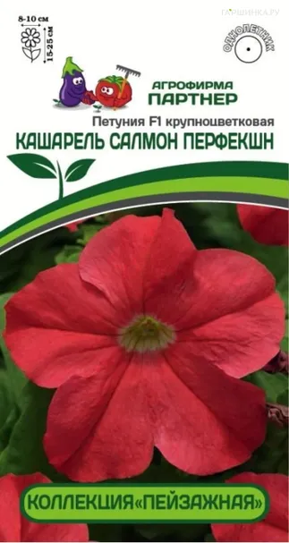 Петуния Кашарель Салмон Перфекшн F1 крупноцветковая компактная 10 шт. Партнер