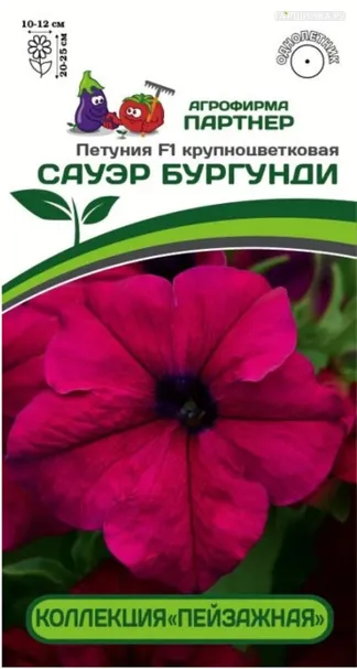 Петуния Сауэр Бургунди F1 крупноцветковая кустовая 10 шт. Партнер