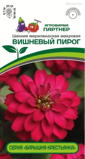 Цинния Вишневый Пирог махровая (серия Барышня-крестьянка) 5 шт. Семена Партнер