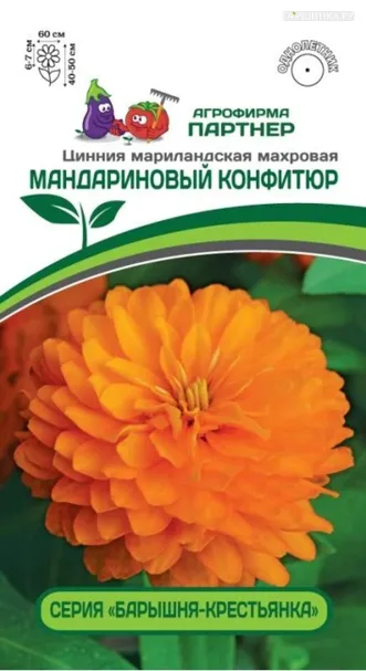 Цинния махровая "Барышня-крестьянка" Мандариновый Конфитюр 5 шт. Партнер