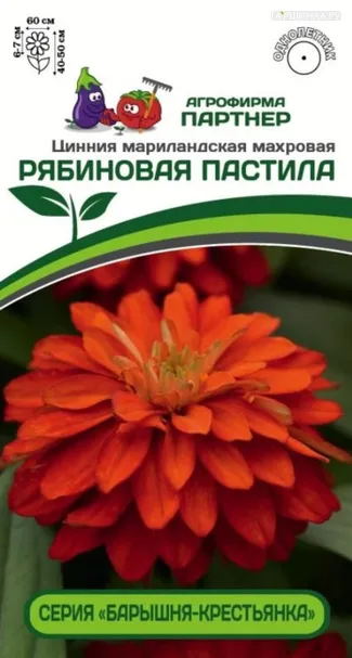 Цинния Рябиновая Пастила махровая (серия Барышня-крестьянка) 5 шт. Семена Партнер
