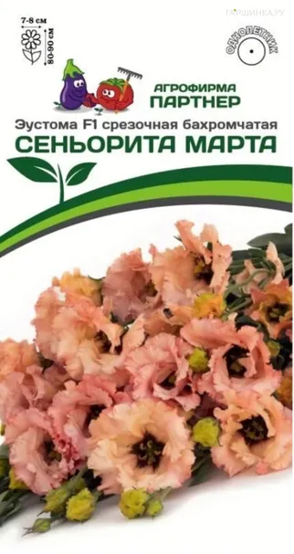 Эустома F1 бахромчатая лососевая Сеньорита Марта 5 шт. Партнер