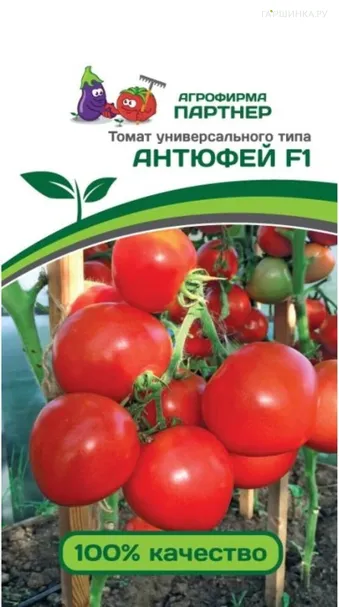 Томат Антюфей F1 0,1 гр. Партнер