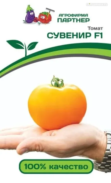 Томат Сувенир F1 10 шт. Партнер