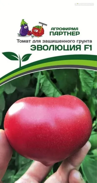 Томат Эволюция F1 10 шт. Семена Партнер