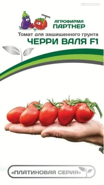 Томат Черри Валя F1 5 шт. Семена Партнер