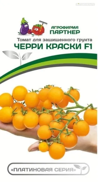 Томат Черри Краски F1 5 шт, Семена Партнер