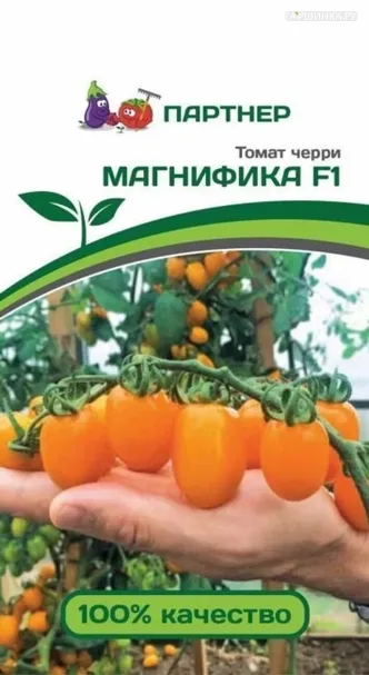 Томат Черри Магнифика F1 10 шт. Партнер